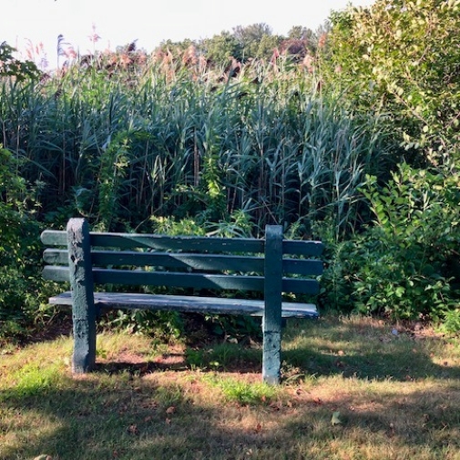 Water view blocked in present day