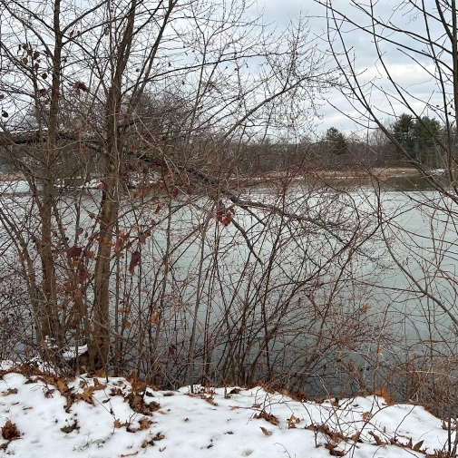 Rope Pull Location 2025